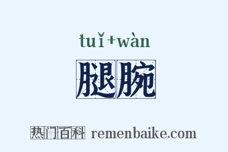 腿腕是什么意思的图片